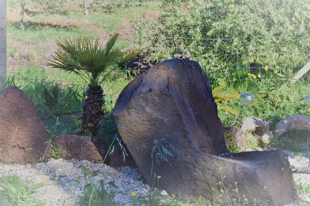 Гостевой дом La Ginestra Орозеи Экстерьер фото
